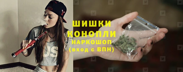 ПСИЛОЦИБИНОВЫЕ ГРИБЫ Балабаново