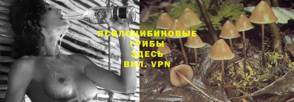 ПСИЛОЦИБИНОВЫЕ ГРИБЫ Балабаново